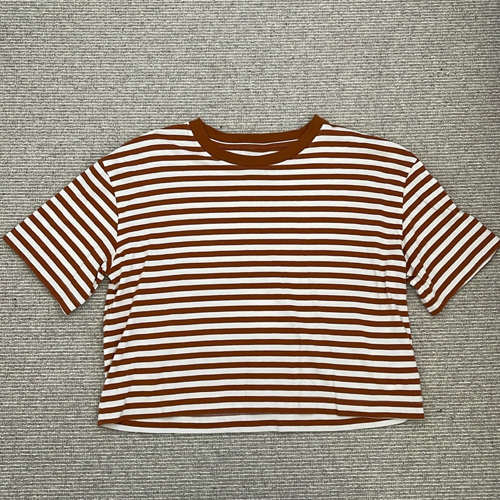 Everlane Box Cut Tee in Rust and Ivory Stripe